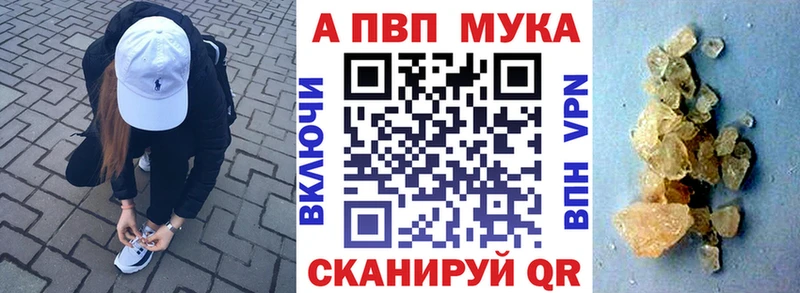 MEGA рабочий сайт  Шали  Альфа ПВП СК КРИС  как найти  