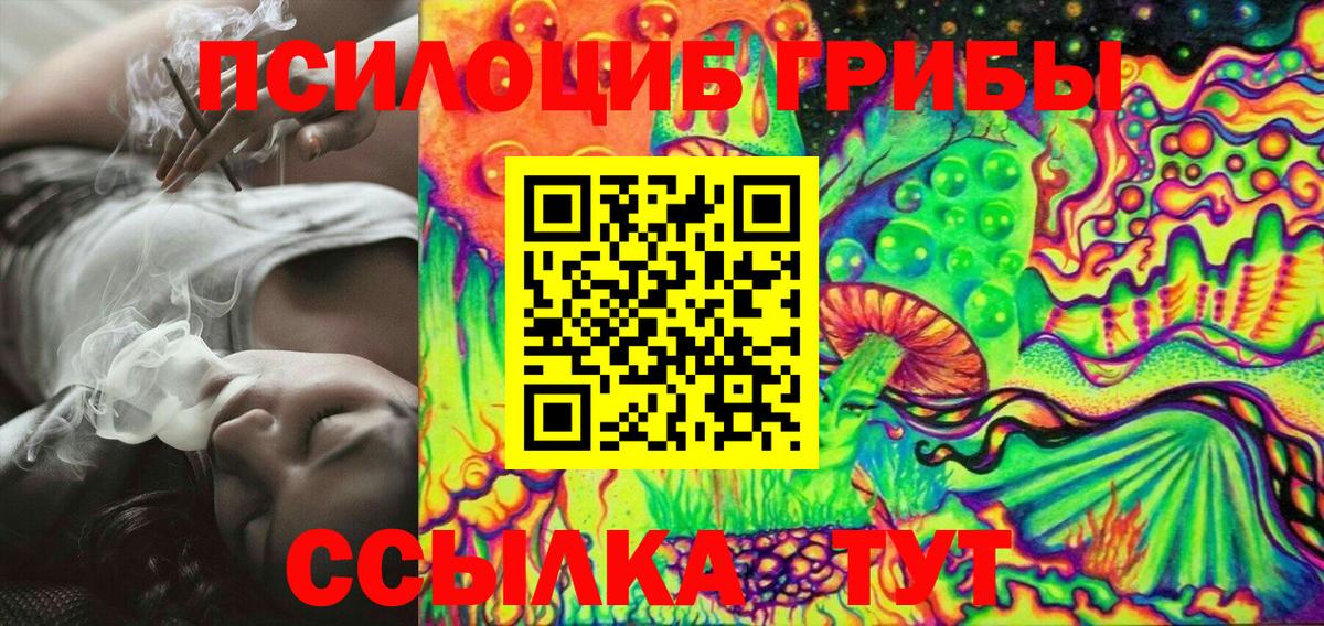 Шали  Псилоцибиновые грибы прущие грибы  Вход с VPN  Псилоцибиновые грибы прущие грибы 