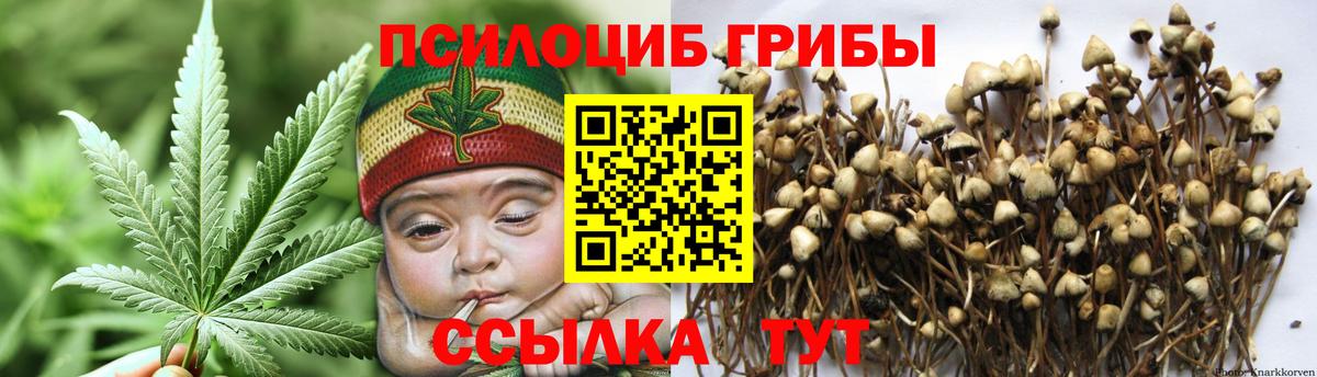 Псилоцибиновые грибы мухоморы Шали