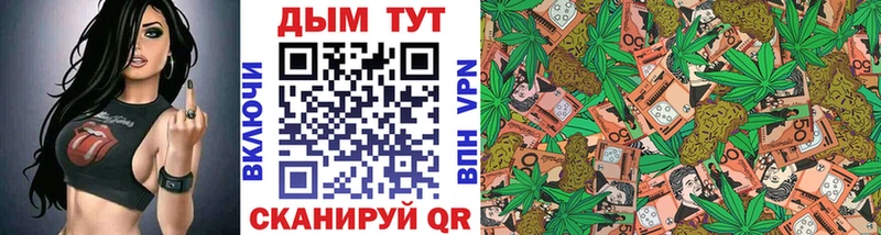 Марихуана сатива  Шали 